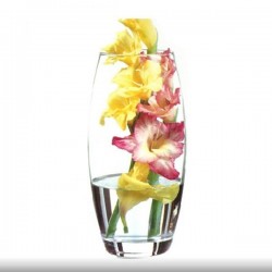 مزهرية زجاجية أنيقة شفافة 26 سم
